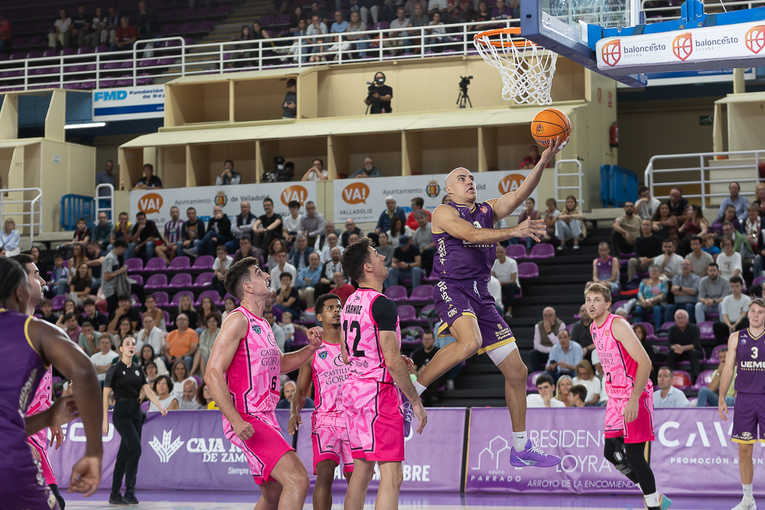 ENLACE A GALERÍA FOTOGRÁFICA